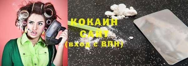 бошки Алексин