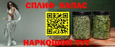 молекула духа Камышлов