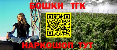 молекула духа Камышлов
