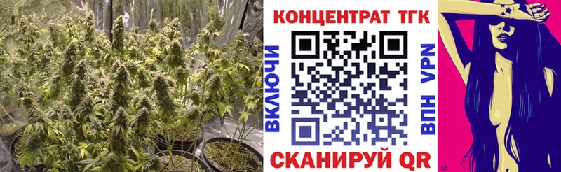 ТГК Wax  Волхов 