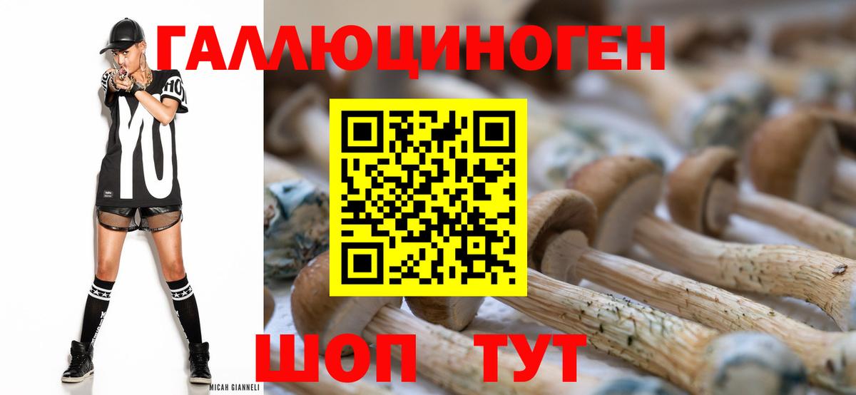Галлюциногенные грибы Cubensis  Вход с VPN  Волхов  Псилоцибиновые грибы ЛСД 