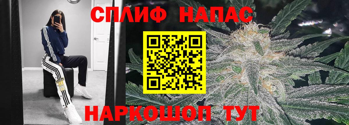 Конопля планчик Волхов
